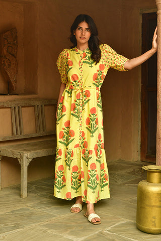 Best Exotic Marigold Hotel Dress