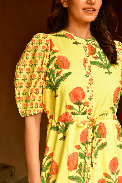 Best Exotic Marigold Hotel Dress
