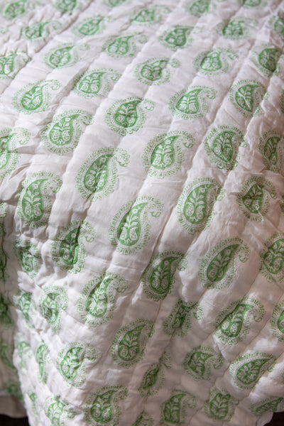 Pretty Paisley Quilt
